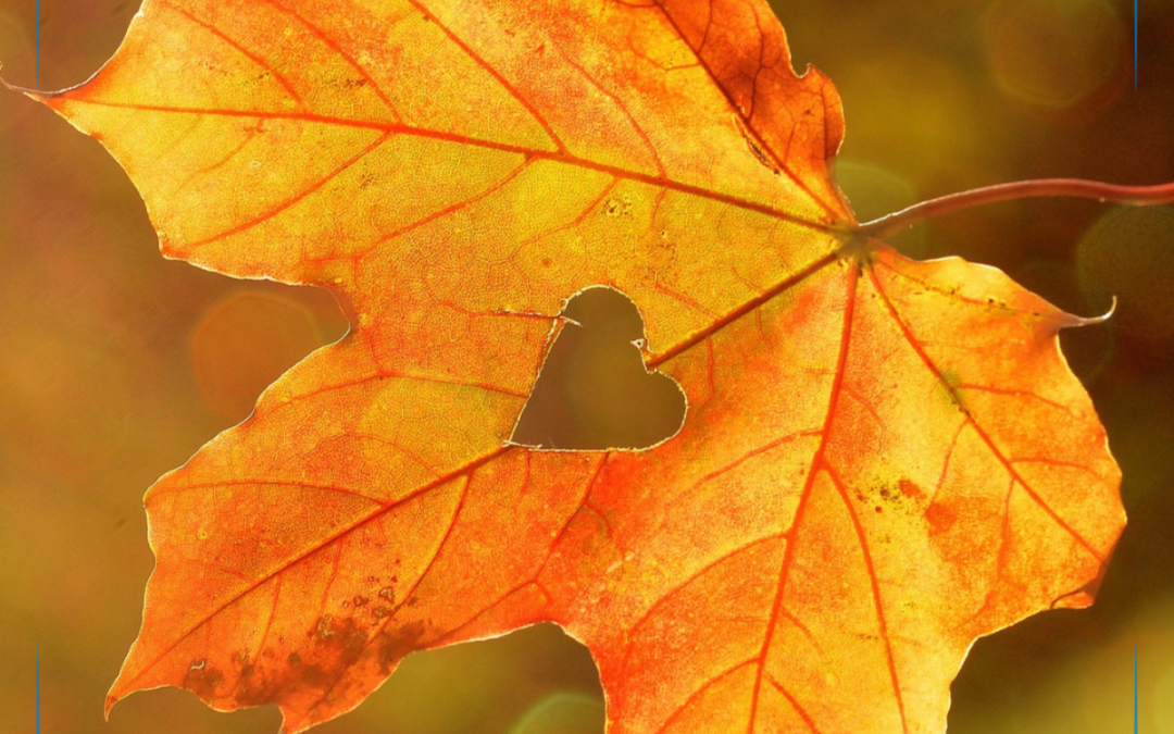 Herbstliche Selbstfürsorge