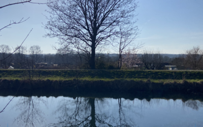 Frühlingsanfang steht für Aufbruch, Innovation und neue Perspektiven